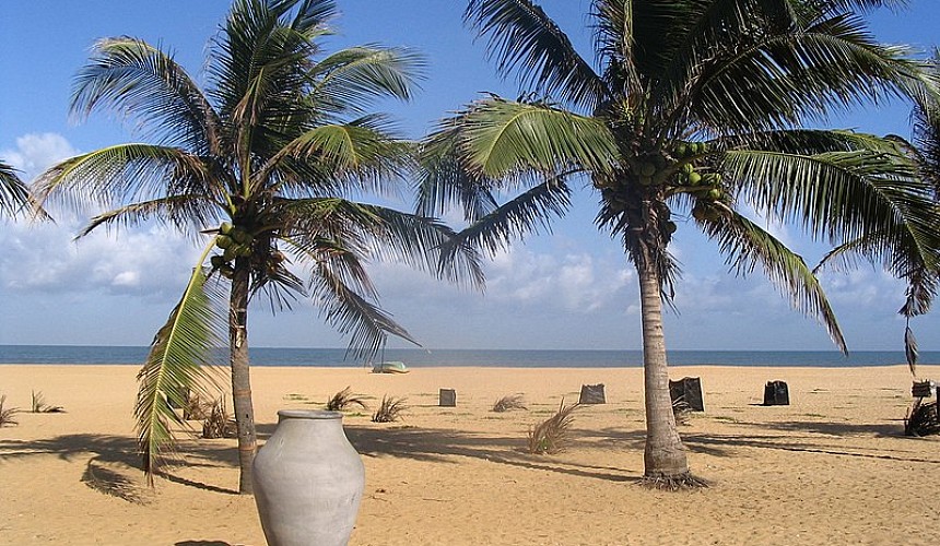 Президент Шри-Ланки опроверг информацию о запрете продления россиянам туристических виз 