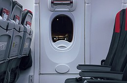 Туристам с животными рассказали, как не потратить деньги на авиабилет впустую