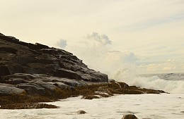 Туристы удивились плате за вход в природный парк «Териберка»