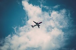 Пассажир бизнес-класса получил черепно-мозговую травму из-за удара соседа-каратиста