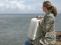 Кто заплатит за овербукинг в Египте?