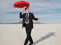 ...Министерство ответило: «Есть!»