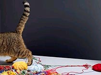 «Дива» дает!