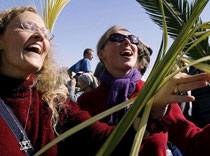 В Израиле ждут 400 тысяч туристов из России