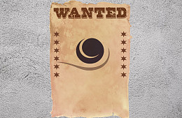 Сотрудники китайской «Жемчужной Реки» объявлены в розыск