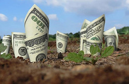 Как потратить миллион?