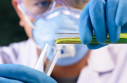 Роспотребнадзор проверил отели Турции на Коксаки