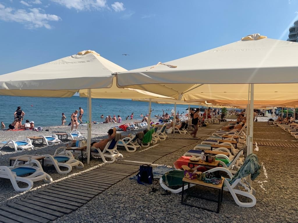 image1.png image1.png