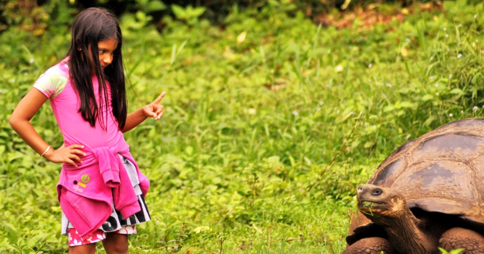 0306_Эквадор2.png 0306_Эквадор2.png