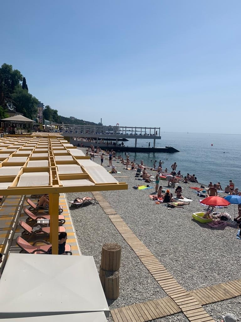 image3.png image3.png