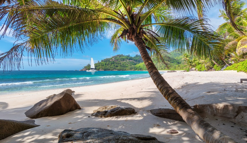 shutterstock_1038680554 (3).jpg shutterstock_1038680554 (3).jpg