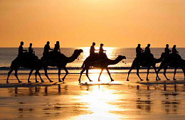 Tunis Air возобновляет полёты в Москву