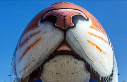 «Трансаэро» обжалует взыскание 2,85 млрд рублей в пользу «Аэрофлота»